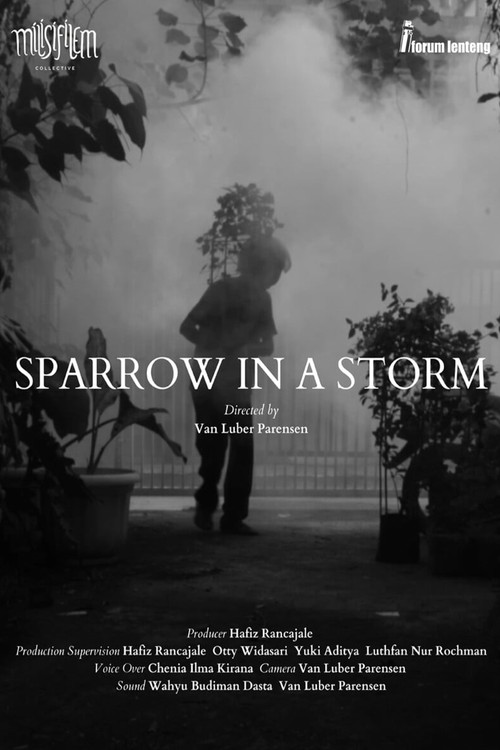 Sparrow in the Storm