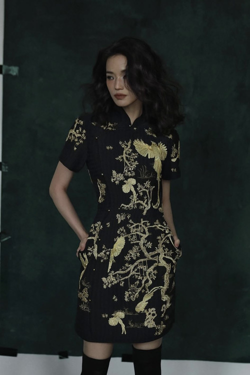 Photo of Shu Qi