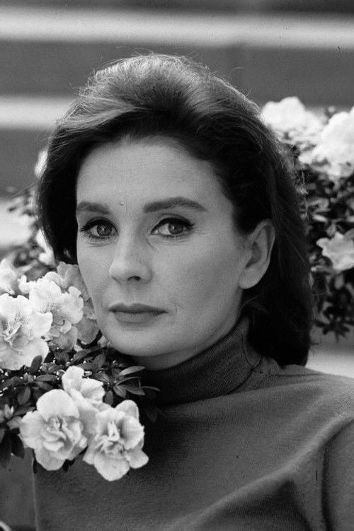 Photo of Jean Simmons