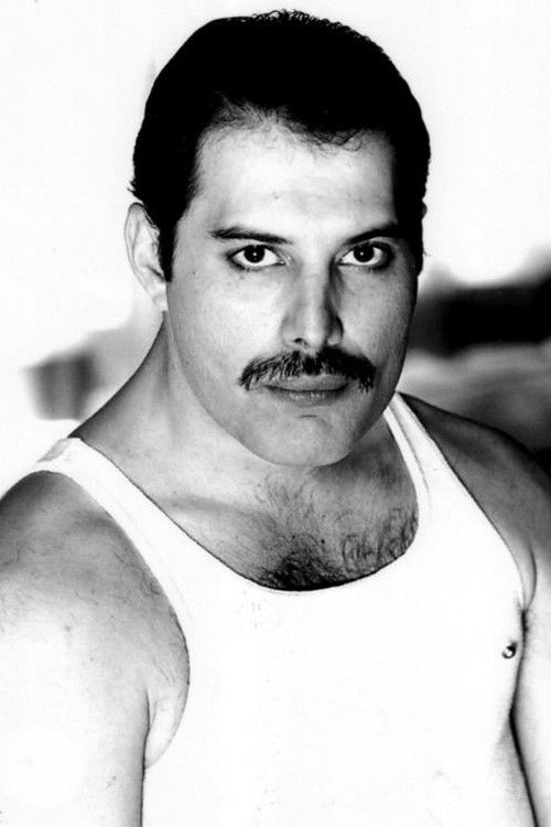 Photo of Freddie Mercury