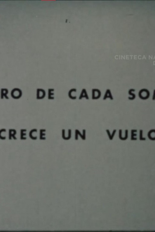 Dentro de Cada Sombra Crece un Vuelo