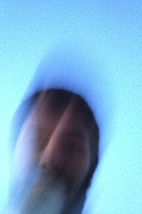 Photo of Xoán Fernández Diz