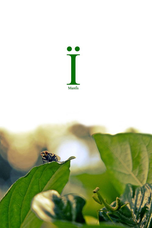 Mantïs