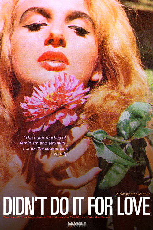 Didn't Do It For Love