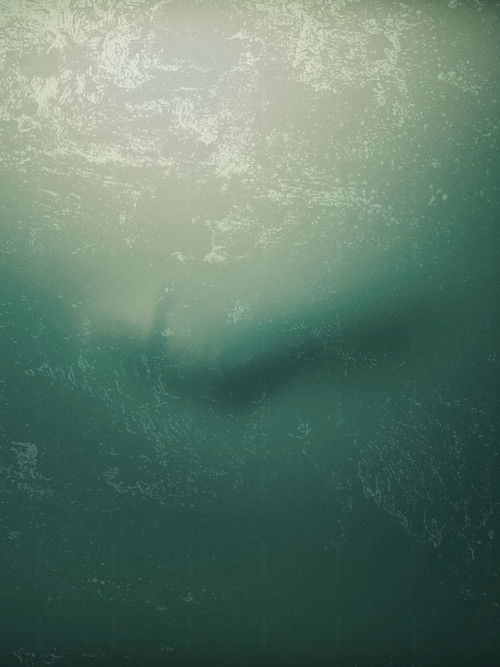 I Don't Want to Walk Alone