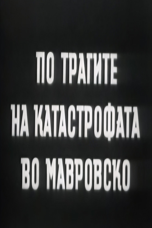 Following the Traces of the Mavrovo Catastrophe