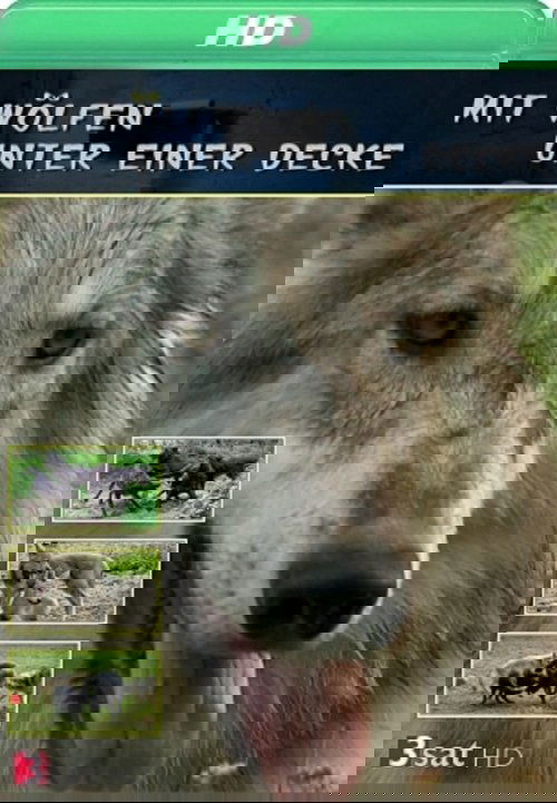 Mit Wölfen unter einer Decke