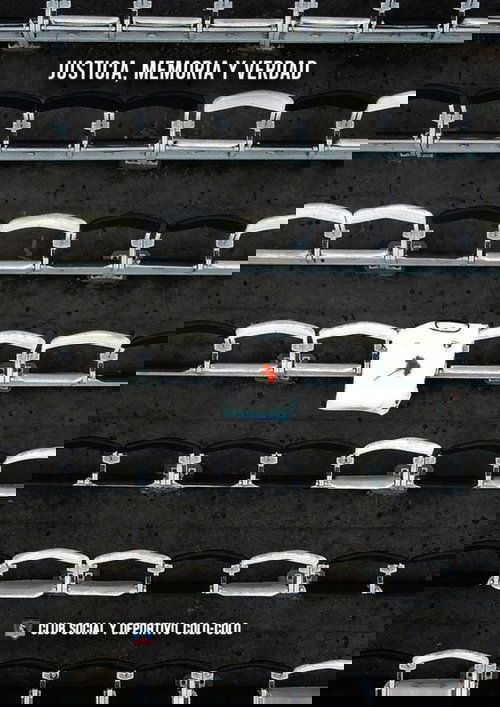 Colo-Colo por la Verdad, Justicia y Memoria