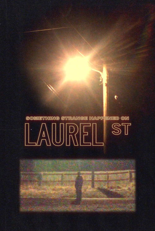 Something Strange Happened on Laurel St.