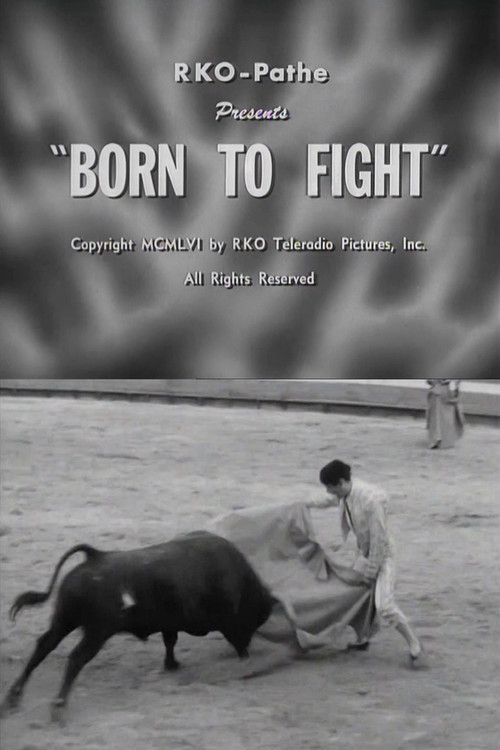 Born to Fight