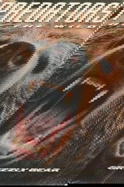 Predators of the Wild: Grizzly Bear