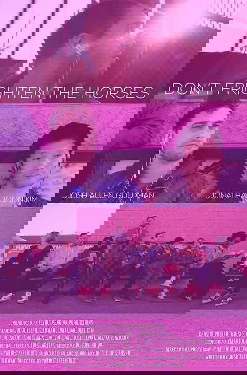 Don't Frighten the Horses