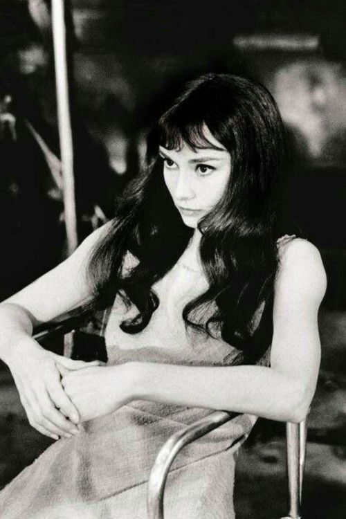 Photo of Audrey Hepburn