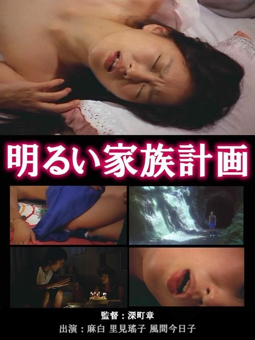 The Novelist's Affair: The Pleasures of Infidelity