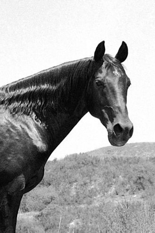 Photo of Highland Dale