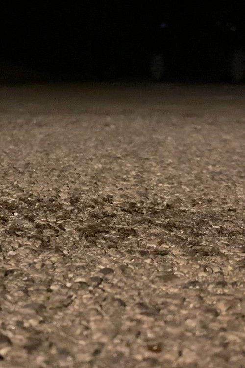 Snails Steadily Stroll the Street 2: Diligent Dirt-Dwellers Dash (Snails Steadily Stroll Lenin Nightcore Remix)