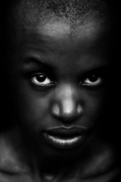 Photo of Lucília Raimundo