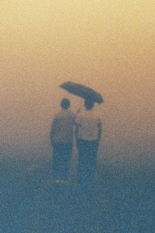 Time Splits in the River