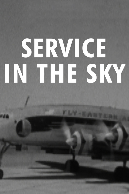 Eye Witness: Service in the Sky