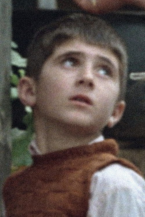 Photo of Babek Ahmed Poor