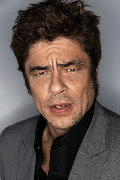 Photo of Benicio del Toro