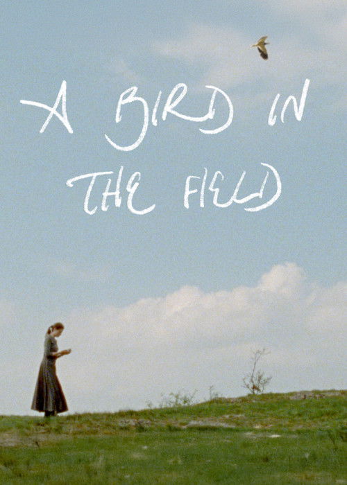 A Bird in the Field