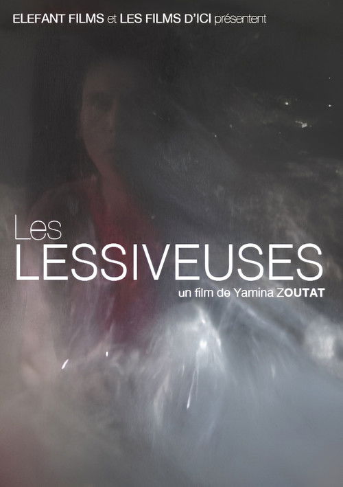 Les Lessiveuses
