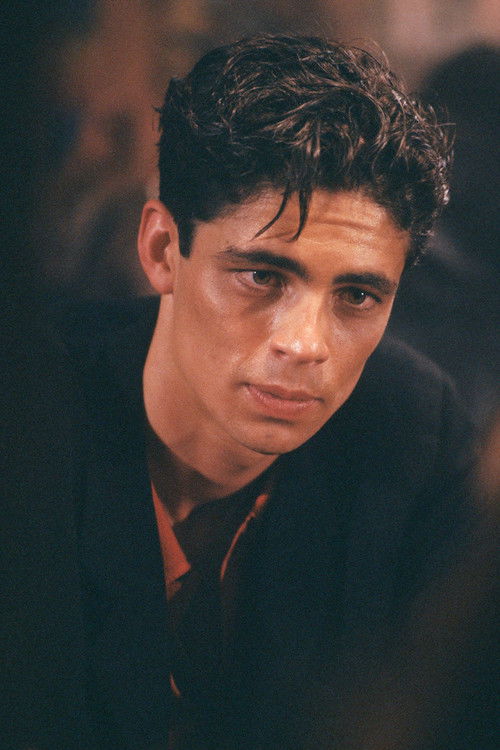 Photo of Benicio del Toro