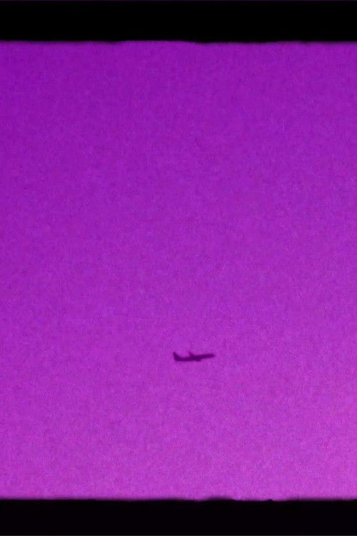 Shoegazer's Brown Eye Reverie