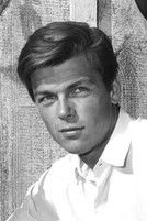 Photo of Robert Forster