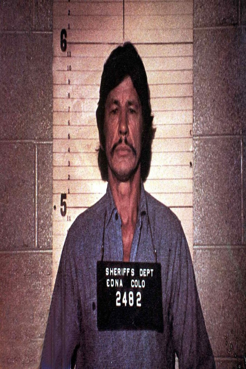 Photo of Bronson Entertainment