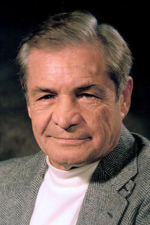 Photo of Reza Beyk Imanverdi