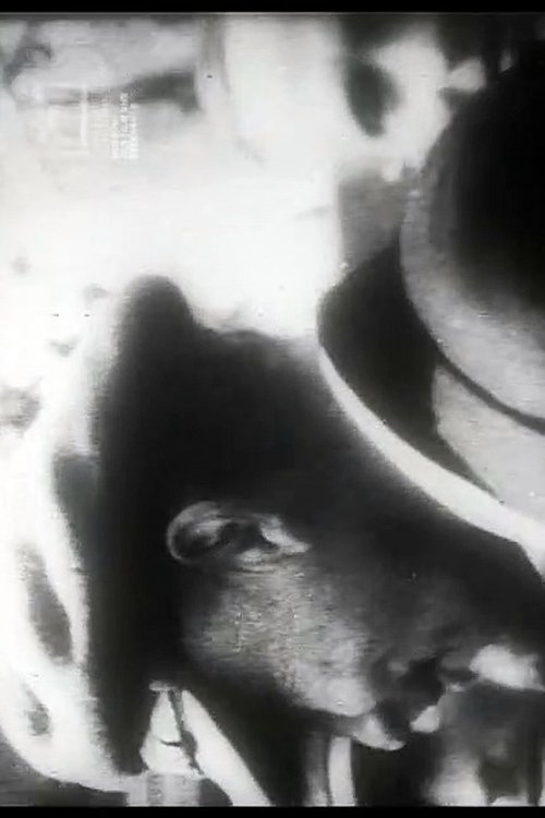 Uns mahnt ein November