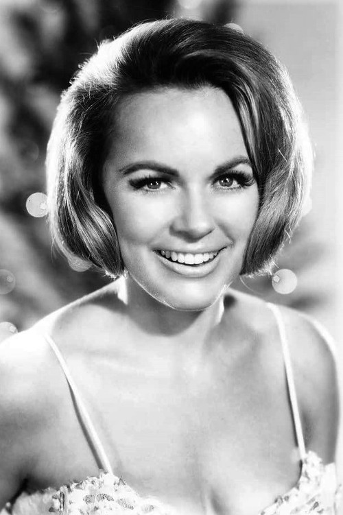 Photo of Terry Moore