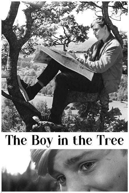 The Boy in the Tree