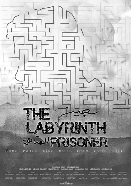 The Labyrinth Prisoner
