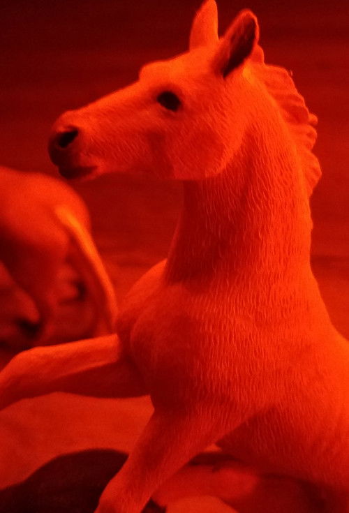 GAY PRE-PARTY BEFORE THE PARTY!!!!