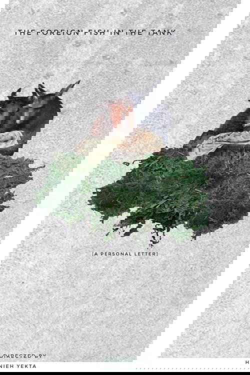 The Foreign Fish in the Tank