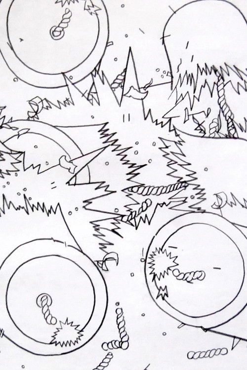 The Lives of Firecrackers