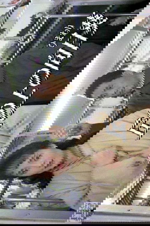 Sunflower on the Hill