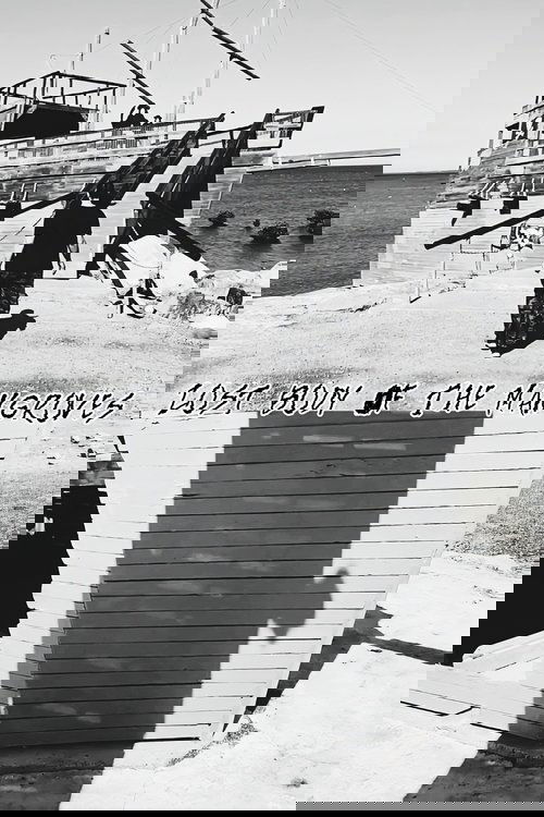 Lost Body Of The Mangroves