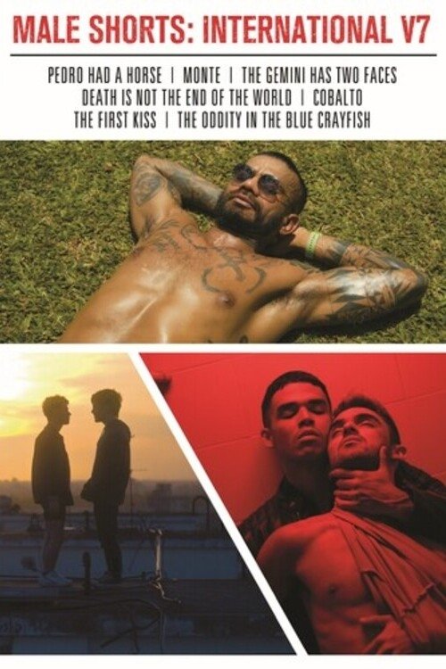 Male Shorts: International V7