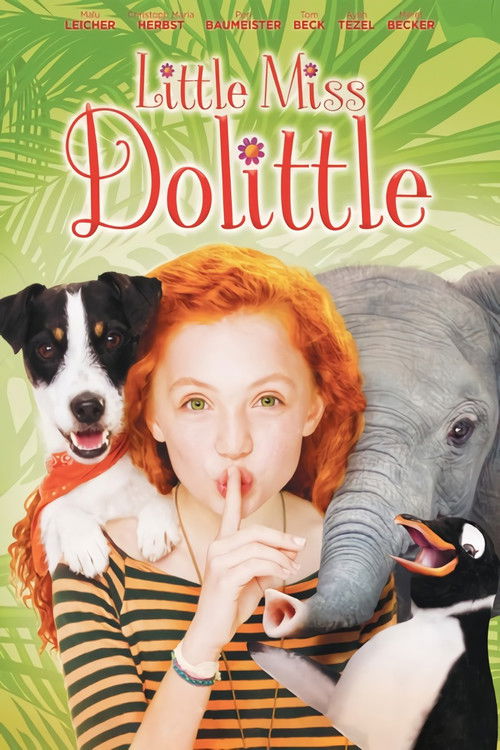 Poster for Little Miss Dolittle