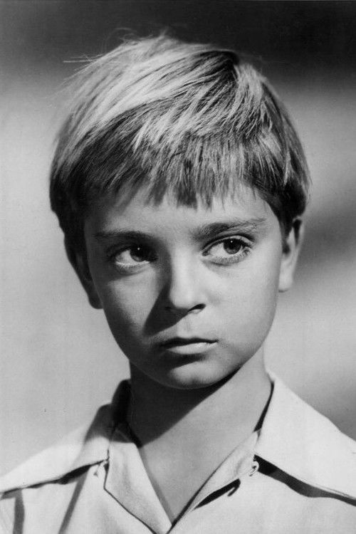 Photo of Tommy Rettig