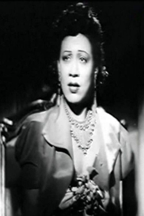 Photo of Hekmet Fahmy