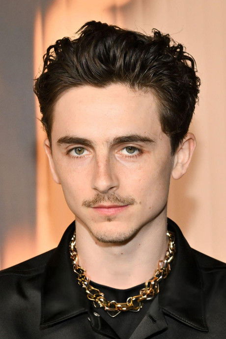 Photo of Timothée Chalamet