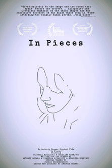 In Pieces