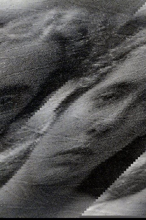 The Drunkard's Lament