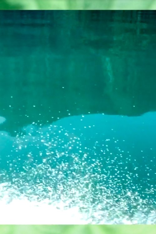 Digging Up the Last Spike