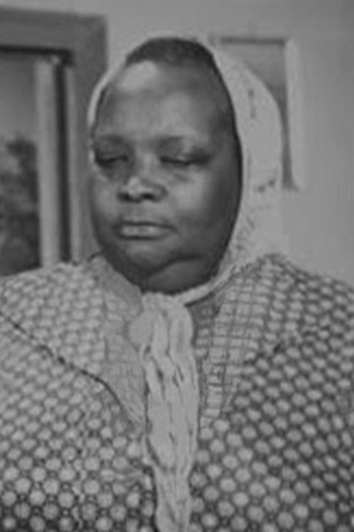 Photo of Dursune Şirin